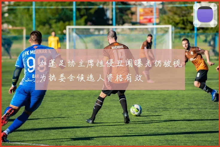 加蓬足协主席性侵丑闻曝光仍被视为执委会候选人资格有效
