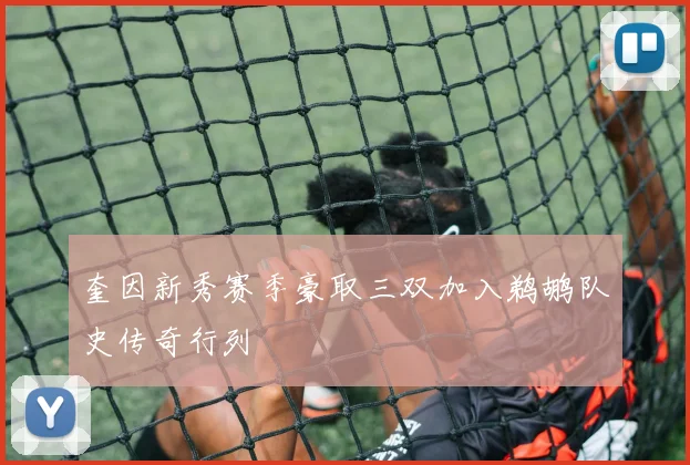 奎因新秀赛季豪取三双加入鹈鹕队史传奇行列