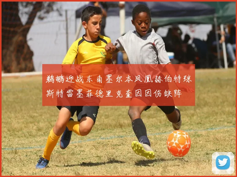 鹈鹕迎战东南墨尔本凤凰赫伯特琼斯特雷墨菲德里克奎因因伤缺阵