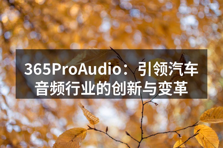 365ProAudio新一代车载音响系统