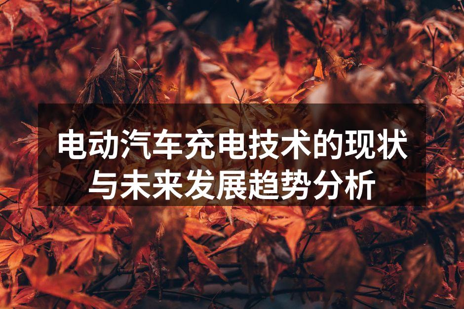 电动汽车充电桩示意图