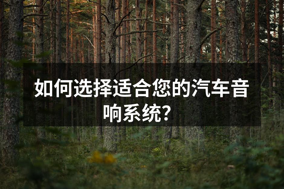 高品质汽车音响系统示例